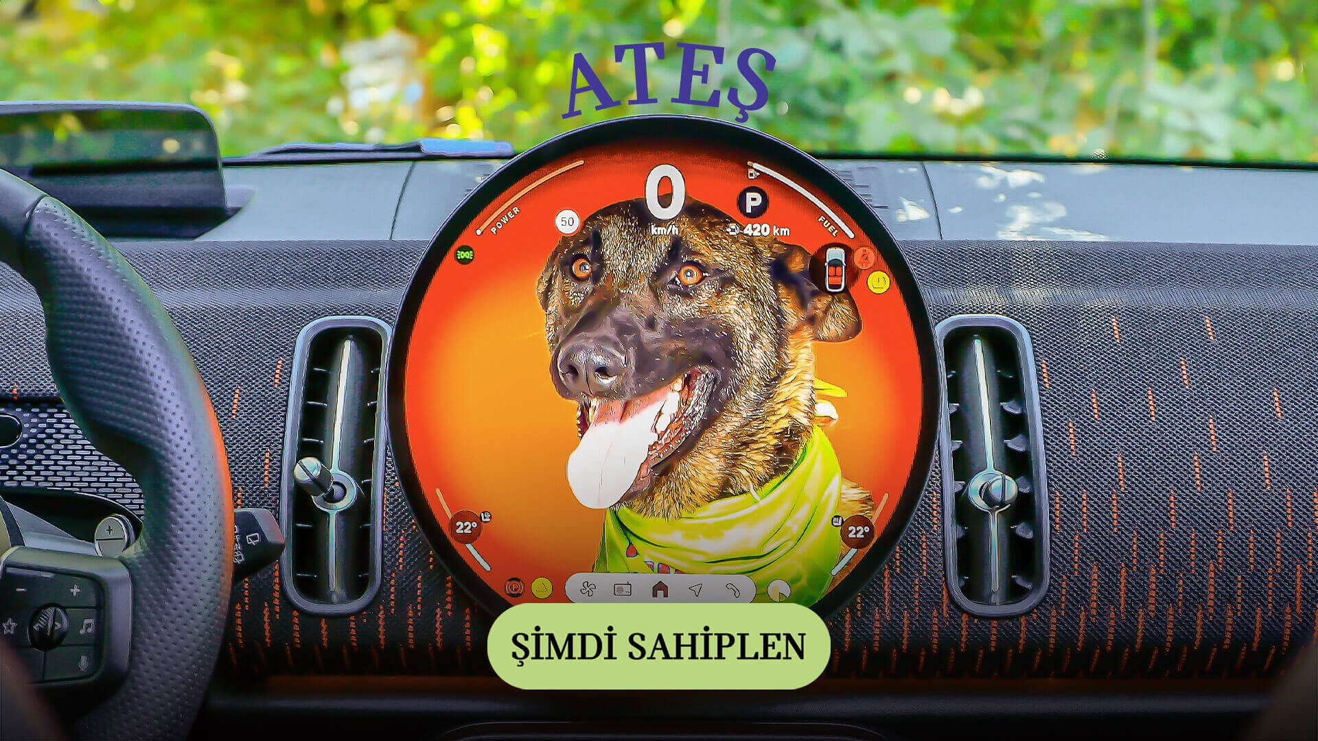 MINI Pati | MINI Türkiye